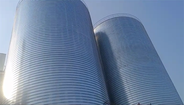 梧州2座混凝土高架卷板仓